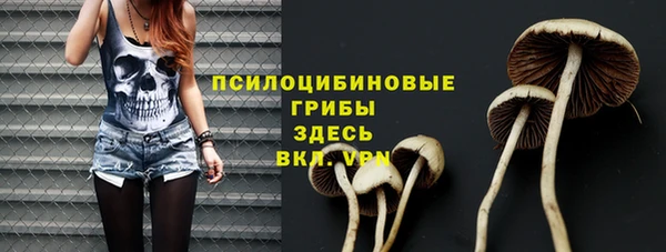 ПСИЛОЦИБИНОВЫЕ ГРИБЫ Алексеевка