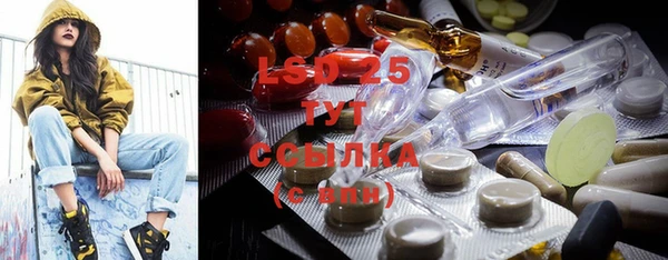 ПСИЛОЦИБИНОВЫЕ ГРИБЫ Алексеевка