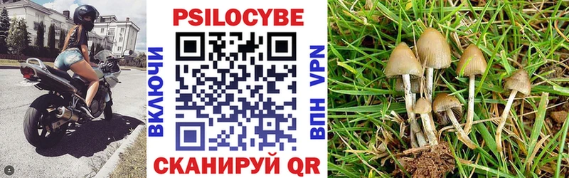 mega сайт  Гурьевск  Галлюциногенные грибы ЛСД 